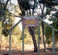 Carroll Nature Reserve Kokoda Track - Tourism Caloundra