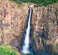 Buujan Quiinbiira Walk Wet Tropics Great Walk - Tourism Caloundra