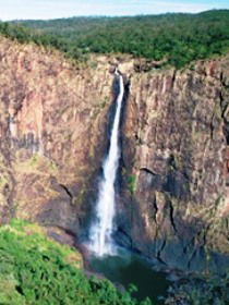 Buujan Quiinbiira Walk (Wet Tropics Great Walk) - Tourism Caloundra 0