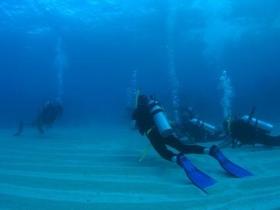 Egg Rock Dive Site - Tourism Caloundra 0