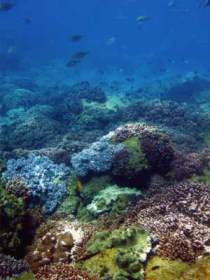 Bargara QLD Tourism Caloundra