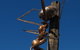 Augathella Meat Ant Park And Sculpture - thumb 0