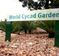Anderson Park Botanic Gardens - Tourism Caloundra