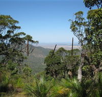 Zamia Walk - Tourism Caloundra