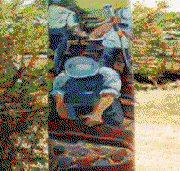 Alpha Murals - Tourism Caloundra