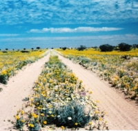 Birdsville Track - Tourism Caloundra