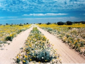Birdsville Track - Tourism Caloundra 0