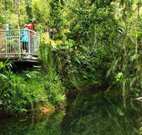 Djiru National Park - Tourism Caloundra