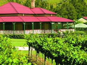 OReillys Canungra Valley Vineyards - Tourism Caloundra 0