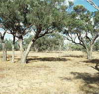 Forest Den National Park - Tourism Caloundra