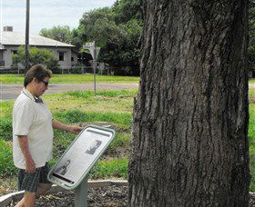 Augathella Kenniff Tree - Tourism Caloundra 0