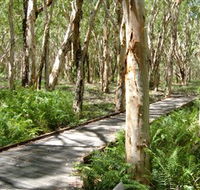 The Kommo Toera Trail - Tourism Caloundra