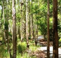 Hallorans Hill - Tourism Caloundra