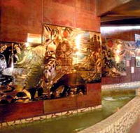 Riversleigh Fossil Centre - Tourism Caloundra