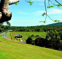 Sirromet Winery - Tourism Caloundra