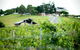 Sirromet Winery - thumb 10