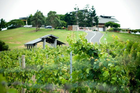 Sirromet Winery - Tourism Caloundra 10