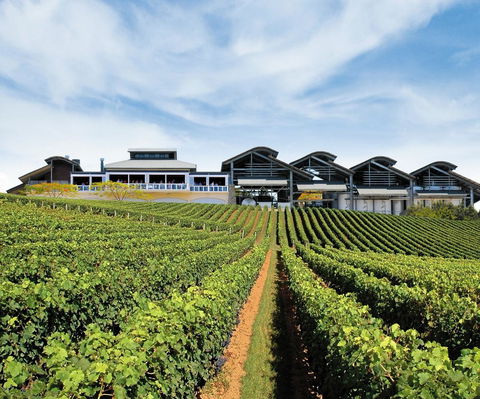 Sirromet Winery - Tourism Caloundra 12