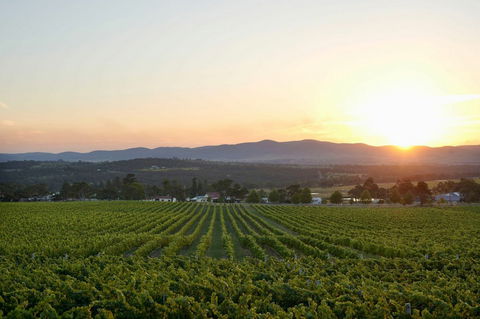 Sirromet Winery - Tourism Caloundra 13