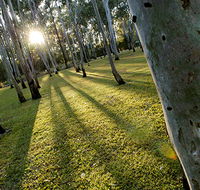 Tondoon Botanic Gardens - Tourism Caloundra