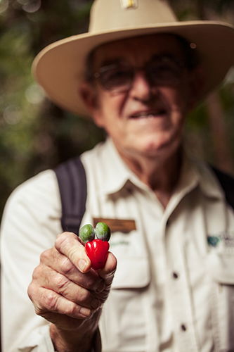 Tondoon Botanic Gardens - Tourism Caloundra 1