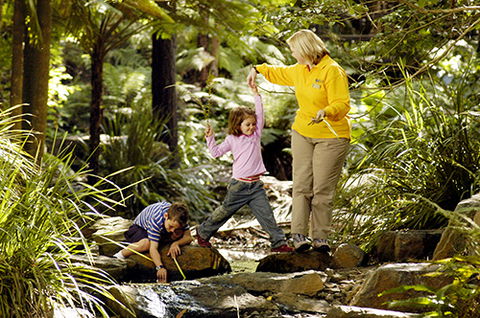 Tondoon Botanic Gardens - Tourism Caloundra 2