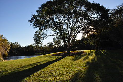 Tondoon Botanic Gardens - Tourism Caloundra 4