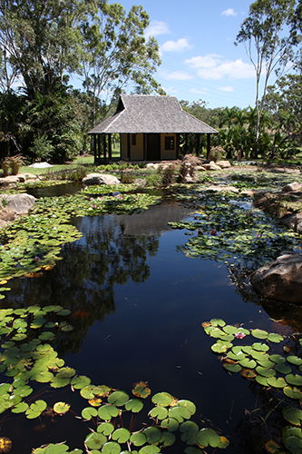 Tondoon Botanic Gardens - Tourism Caloundra 8