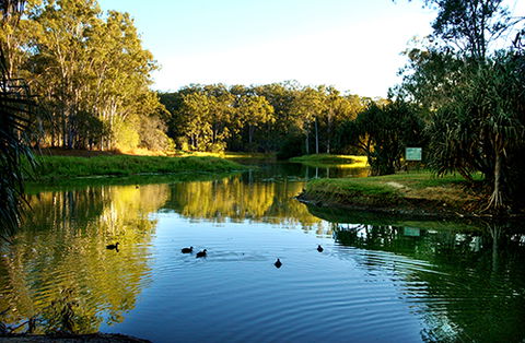 Tondoon Botanic Gardens - Tourism Caloundra 9