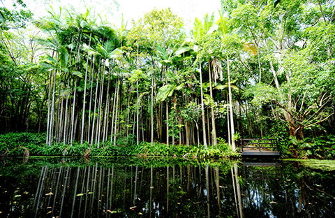 Tondoon Botanic Gardens - Tourism Caloundra 11