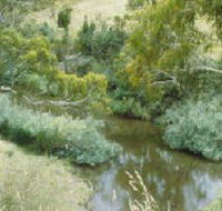 Yarrambat Park - Tourism Caloundra