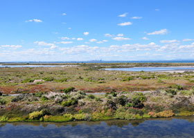 Point Cook Coastal Park - Tourism Caloundra 0