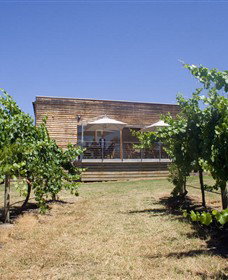 Shantell Vineyard - Tourism Caloundra 0