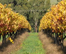 Wild Dog Winery & Restaurant - Tourism Caloundra 0