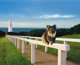 Cape Otway Lightstation - Tourism Caloundra 0