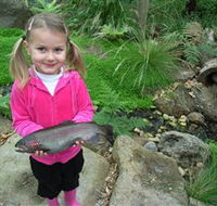 Wild Food Farm  Cafe - Tourism Caloundra