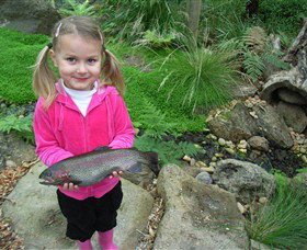 Wild Food Farm & Cafe - Tourism Caloundra 0