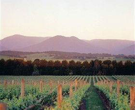 Domaine Chandon - Tourism Caloundra 0