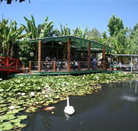 Blue Lotus Water Garden - Tourism Caloundra