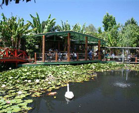 Blue Lotus Water Garden - Tourism Caloundra 0