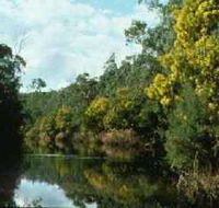 Warrandyte State Park - Tourism Caloundra