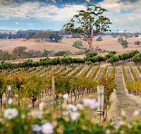 Redesdale Estate - Tourism Caloundra