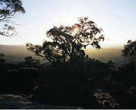 Ivanhoe East VIC Tourism Caloundra