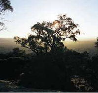 Yarra Flats - Tourism Caloundra