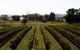 Rochford Wines - thumb 0