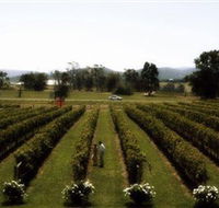 Rochford Wines - Tourism Caloundra