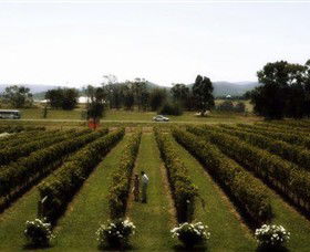 Rochford Wines - Tourism Caloundra 0