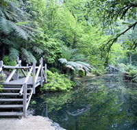 Alfred Nicholas Gardens - Tourism Caloundra