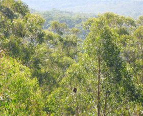Bunyip State Park - Tourism Caloundra 0