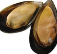 Sea Bounty - Tourism Caloundra